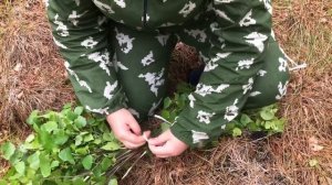 Как связать березовый веник для бани быстро и прочно