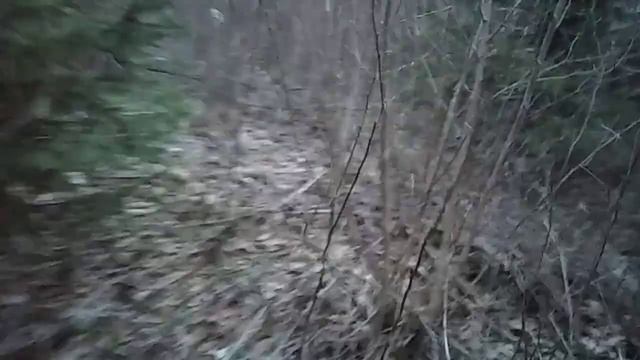 ОХОТА НА КАБАНА САМОРОБНІ ЛОВУШКИ НА ВЕПРА!? смотреть онлайн