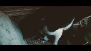 Видеосъемка на Nikon D3200 / Обработка видео в Adobe Photoshop / Тестовая  съемка.