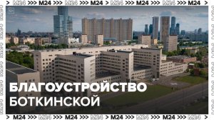 Территорию Боткинской больницы в Москве благоустроят - Москва 24