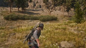 «Days Gone» - Ботаника