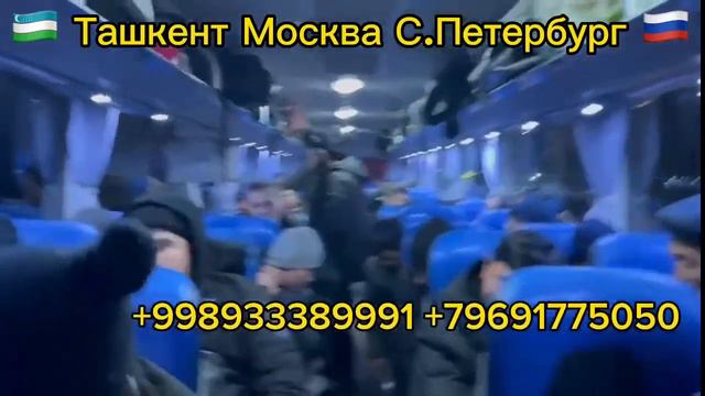 ТАШКЕНТ МОСКВА АВТОБУС УЗБЕКИСТАН РОССИЯ АВТОБУС 2024