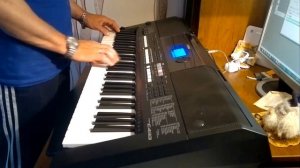 YAMAHA PSR E433. И. Кучин "Портрет".