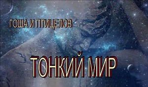 ТОНКИЙ МИР_Гоша и Птицелов_видео_студия