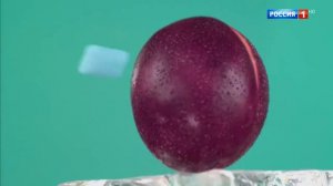 Dirol Colors XXL  2017