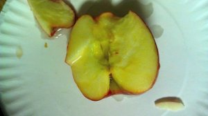 Why Do Apples Turn Brown?