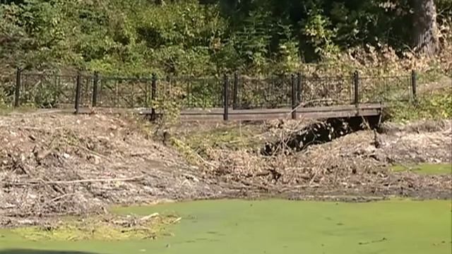 Ельчанин подарил администрации Ельца бензопилу для благоустройства Петровского парка смотреть онлайн