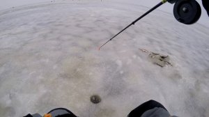 Ловля окуня на блесну.Первый лёд на озере Ильмень. Открытие сезона 2016.