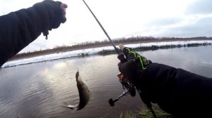 Со спиннингом в Декабре. Язь, проводка upstream