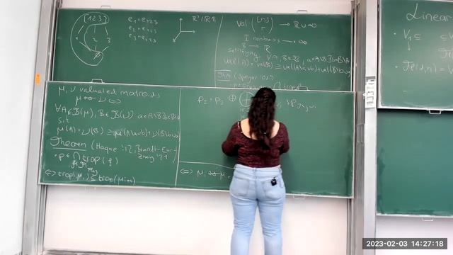 Victoria Schleis (Tuebingen) - Linear degenerate tropical flag matroids смотреть онлайн