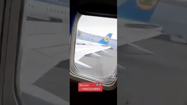 ПЦР справки в Домодедово Внуково Шереметьево￼ +79663314863 смотреть онлайн