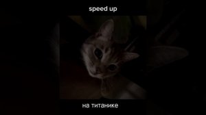 На Титанике INSTASAMKA & ЛОЛИТА [speed up]