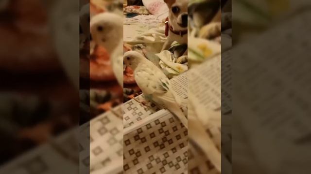Уникальные кадры. Встреча Сени и Ромы