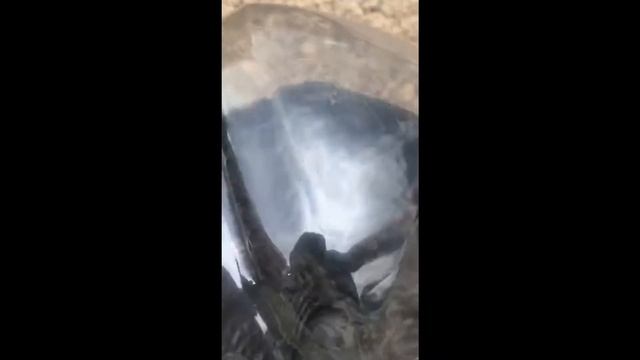 Дизельное топливо отработанное