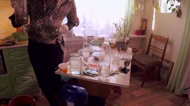 Стратификация семян в домашних условиях.