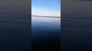 Посторонний шум мотора хайди 9.8 Обкатка.