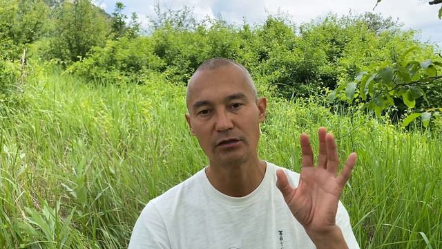Ум, его состояния и как он влияет на физиологическое и эмоциональное здоровье