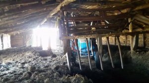 Продолжение чистки навоза в сарае трактором Т 40