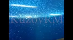 Покраска бампера жидкой резиной