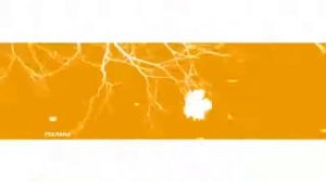 Заставка перед рекламы (1 канал, осень 2011)