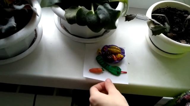 Я показываю свои фиалки смотреть онлайн