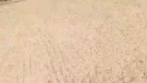 Бердянская коса «У Лукоморья»