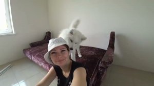 Установка натяжного потолка "Сделай Сам" по индивидуальному чертежу от компании РКК.