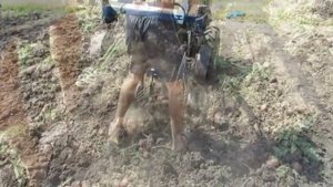 Копалка в работе - Картофелекопалка к мотоблоку (грохотная, трясучка, вибрационная)