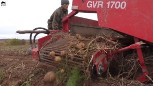Такую ТЕХНИКУ вы точно НЕ ВИДЕЛИ! На уборке картофеля Grimme EVO 290, Grimme SF 150-60.