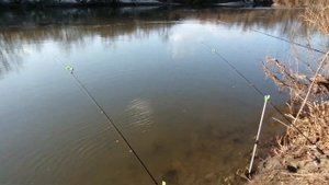 Голавль не пройдёт мимо этой приманки! Ловим на миногу.