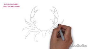 How to Draw a Crab / Как нарисовать краба