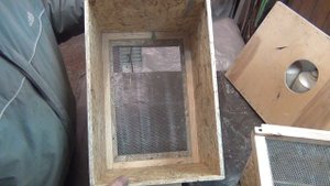 как отделить трутня от пчелы для островного облета маток