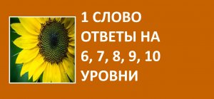 Игра 1 слово ответы на 6, 7, 8, 9, 10 уровни