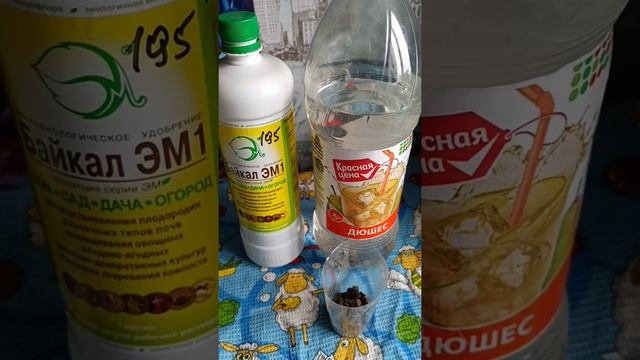 Готовим удобрение для цветов в домашних условиях. Кроме минералки растениям нужна и органика.
