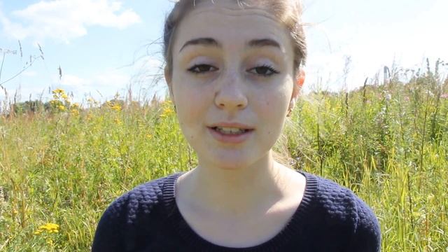 С. А. Есенин "Топи да болота..." смотреть онлайн