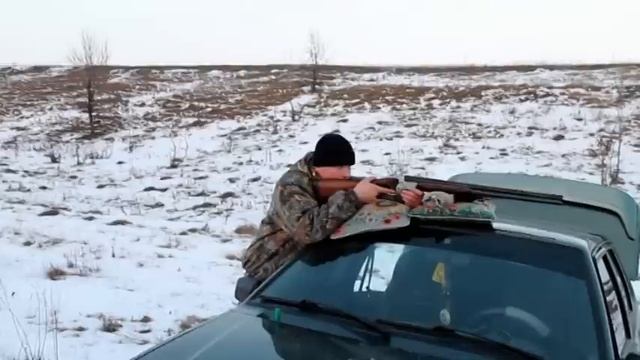 ТОЗ-34 & Пуля "Азот" смотреть онлайн