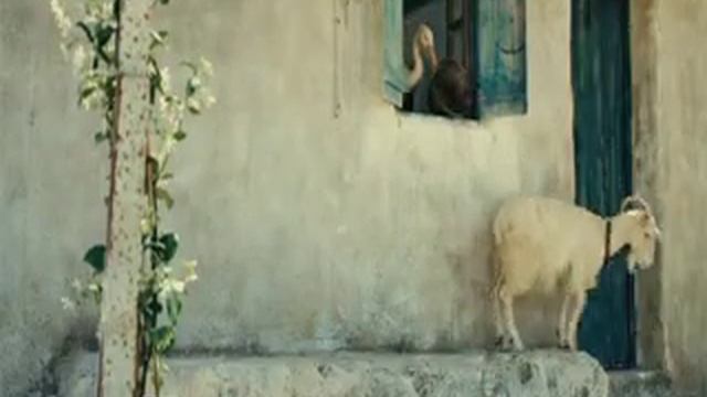 Пеликан  Nicostratos le pélican (2011)