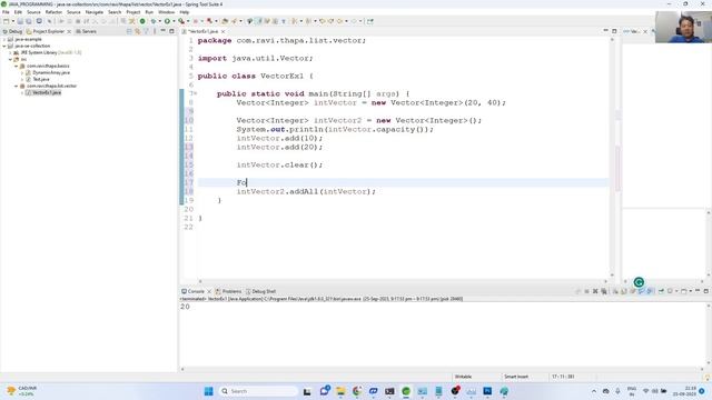 Java SE: Collection Framework Vector Example