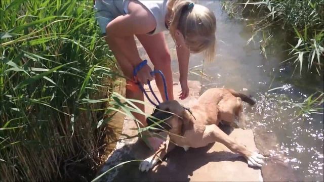 Выходные.Испания.Мадрид.Церковный праздник. смотреть онлайн