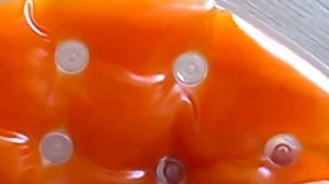 Грелка солевая Стелька