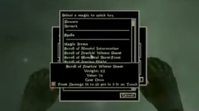 Speed Run of Morrowind - Beaten in 7.5 Minutes!! смотреть онлайн