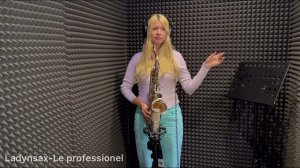 Ladynsax-Le professionel