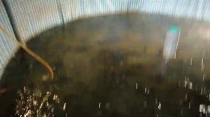 Грязная вода  в узв