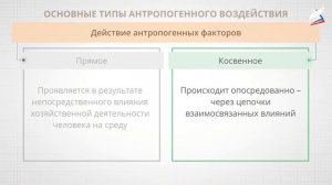 Основные виды воздействия человека на окружающую среду