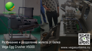Машина для разбивания яиц и деления желтка от белка Vega Egg Crusher H5000