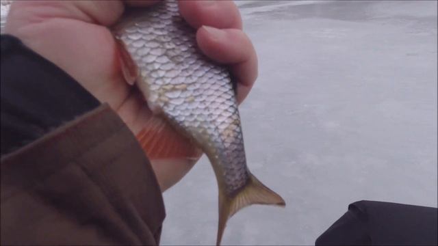 Рыбалка на реке ЗУША Последний лед смотреть онлайн