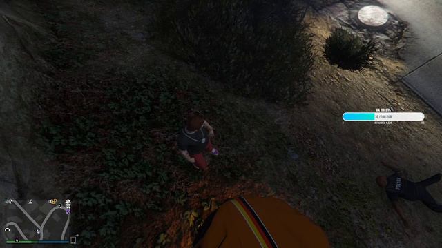 Фанимся в Grand Theft Auto V ,пытаемся придумать нормальное занятие и конечно же общаемся. смотреть онлайн