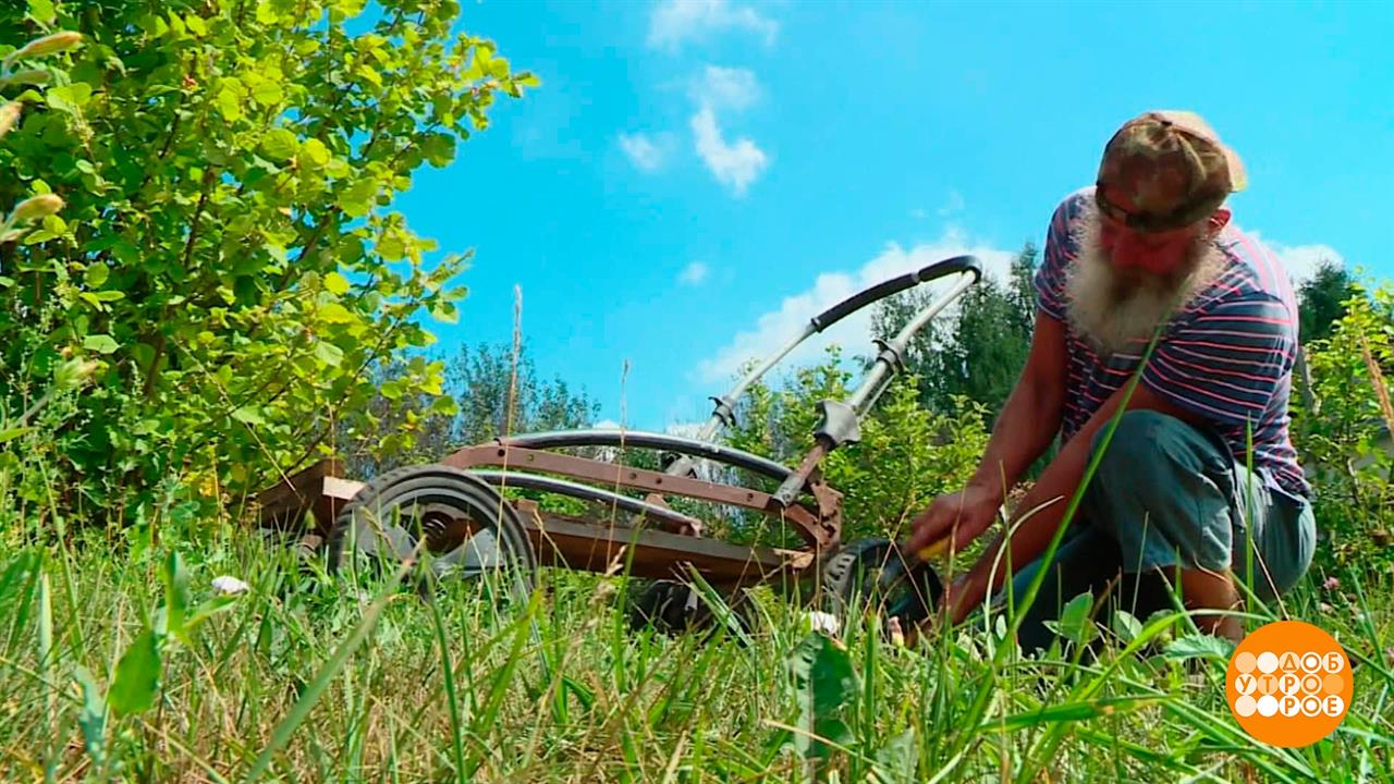 Дачные изобретения. Доброе утро. Фрагмент выпуска от 17.08.2023
