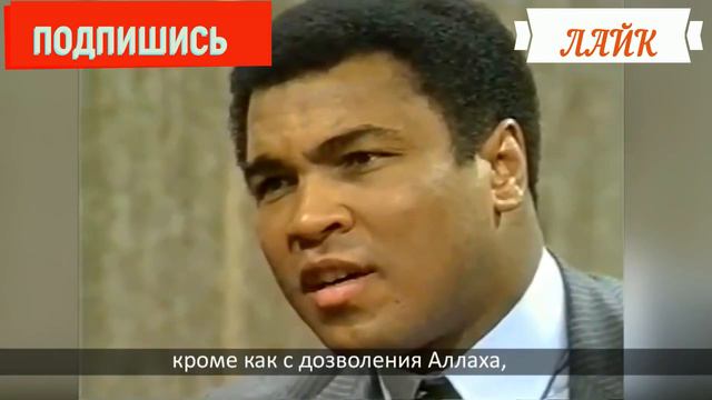 МУХАММЕД АЛИ - ИСТОРИЯ ЕГО ЖИЗНИ