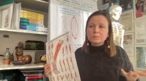 "Кросс тейпы" волшебство или знания. Быстрое избавление от боли, аспекты безопасного применения.